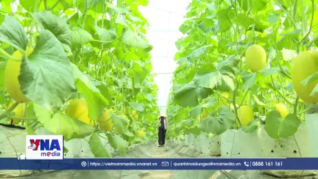 Chuyển đổi mô hình sản xuất giữa biến động thị trường