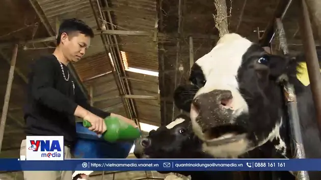 Chăn nuôi liên hoàn, giải pháp phát triển nông nghiệp bền vững