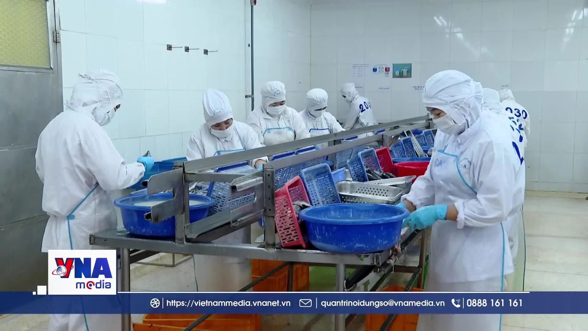 Doanh nghiệp thủy sản TP.HCM chủ động vượt sóng thị trường