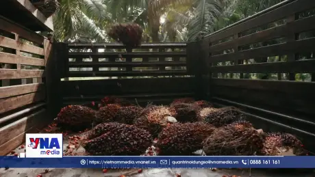 Thái Lan triển khai các biện pháp ứng phó với khủng hoảng năng lượng