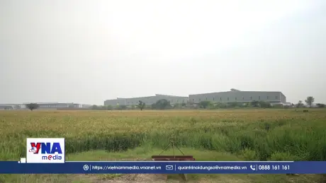 Nguy cơ “cú sốc” lương thực toàn cầu