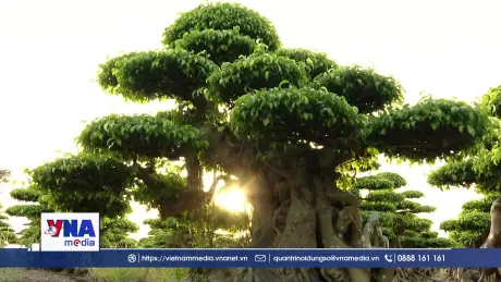 Nông nghiệp, nông thôn khởi sắc nhờ đa dạng mô hình kinh tế