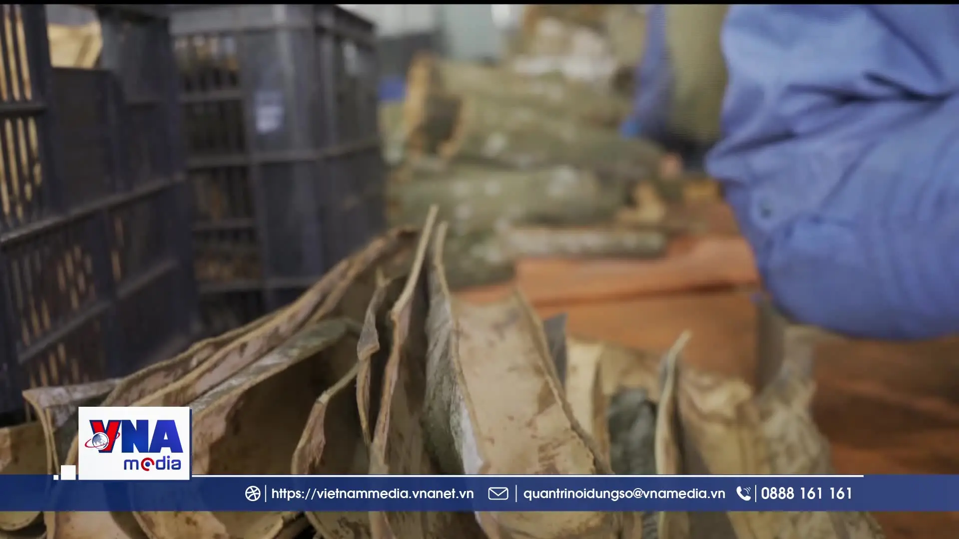 Doanh nghiệp có thể tự đánh giá ESG để vay vốn xanh