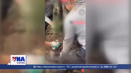 Thanh Hóa khuyến nghị xử lý tang vật là cây, phôi cây “Muội hồng”