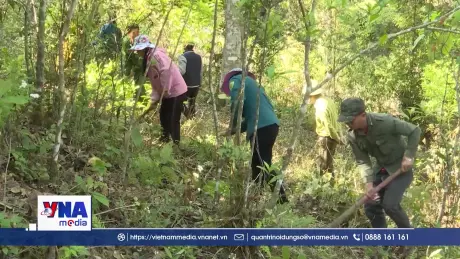 Lai Châu chủ động phòng chống cháy rừng mùa cao điểm