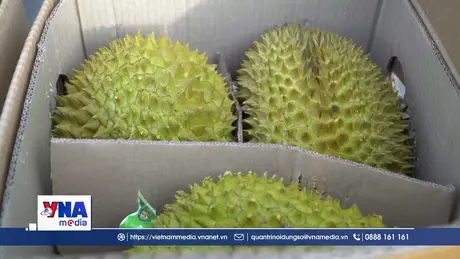 Chuẩn hóa nông sản để giữ thị phần tỷ dân