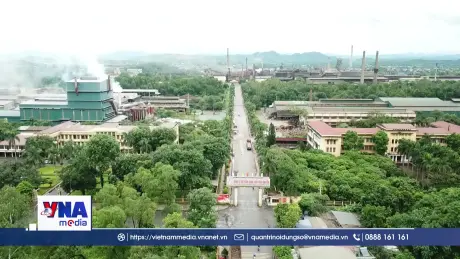 Siết quản lý hạn ngạch và tín chỉ carbon