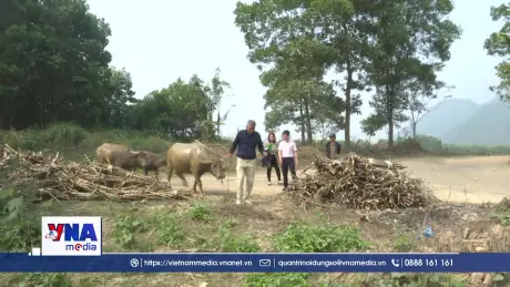 Vốn vay sản xuất giúp người dân vùng cao Thanh Hóa thoát nghèo