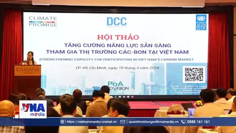 Nâng cao năng lực doanh nghiệp tham gia thị trường carbon