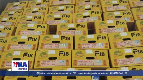 Xuất khẩu sầu riêng truy xuất nguồn gốc toàn chuỗi