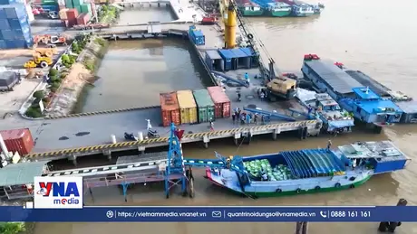 Doanh nghiệp xuất khẩu gạo sẵn sàng cung cấp thông tin cho Philippines