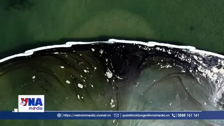 Hoạt động tại cảng Antwerp của Bỉ tê liệt do sự cố tràn dầu