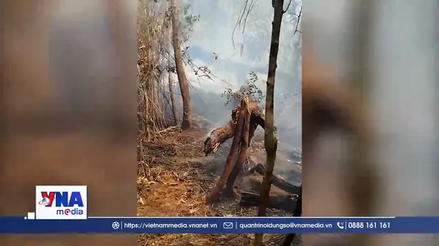 Nỗ lực dập tắt vụ cháy rừng tại Sơn La