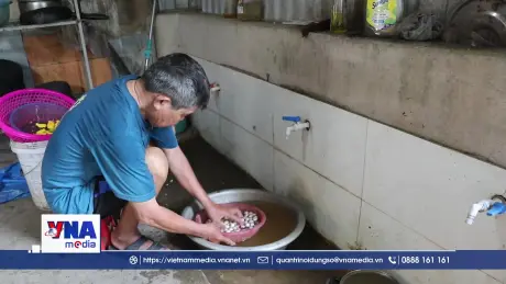 Hàng trăm hộ dân Nghệ An mất nước sinh hoạt do vỡ đường ống