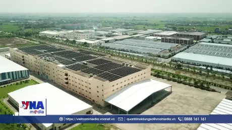 Thị trường carbon Việt Nam bước vào giai đoạn vận hành thử