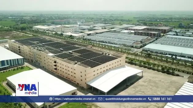 Thị trường carbon Việt Nam bước vào giai đoạn vận hành thử