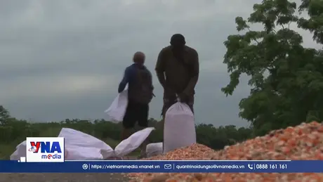 Cuba mở cửa thương mại nông sản cho khu vực tư nhân