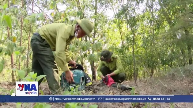 Quảng Trị: Chủ động phòng chống cháy rừng mùa nắng nóng