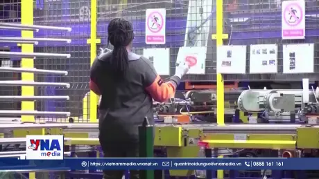  55% việc làm trong 3 năm tới bị ảnh hưởng bởi AI