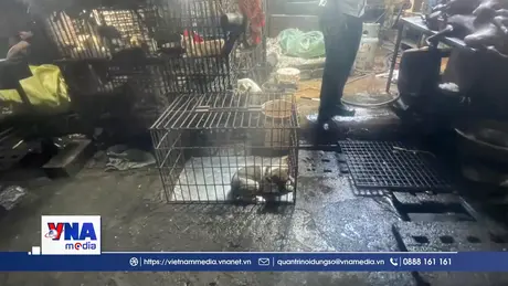 Phát hiện 2 điểm giết mổ, kinh doanh thịt chó, mèo tự phát, không phép