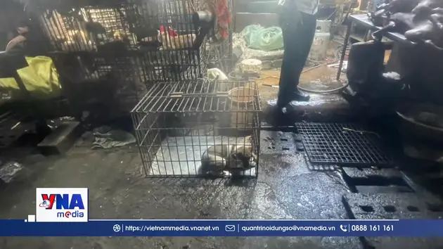 Phát hiện 2 điểm giết mổ, kinh doanh thịt chó, mèo tự phát, không phép