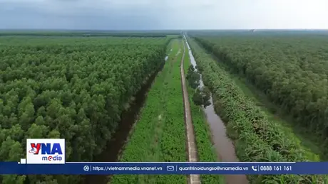 Cà Mau: Tăng cường công tác phòng cháy tại Vườn quốc gia U Minh Hạ