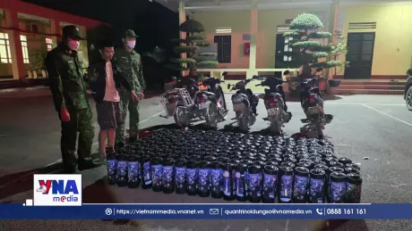 Quảng Ninh bắt vụ vận chuyển 184 bình khí cười trái phép