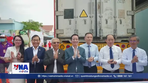 Bưởi da xanh đã có 