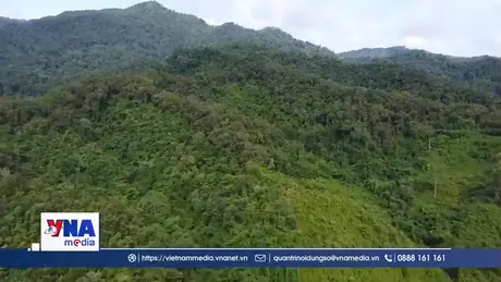 Điện Biên tăng cường phòng cháy rừng cao điểm mùa khô