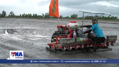 Nhiều giải pháp gỡ khó trong sản xuất lúa tại An Giang