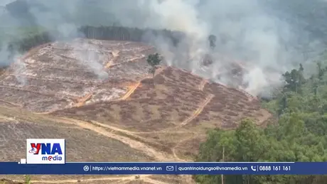 Quảng Trị: Kịp thời khống chế vụ cháy thực bì