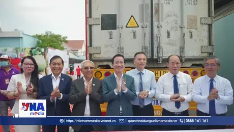 Bưởi da xanh đã có 