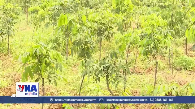 Hưng Yên trước áp lực giải phóng mặt bằng dự án hơn 1,5 tỷ USD