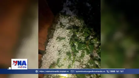 Mưa đá lớn khiến 4 người bị thương tại xã Bắc Hà, Lào Cai