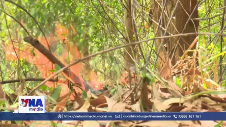 Đắk Lắk giữ rừng giữa cao điểm mùa khô