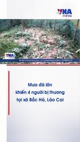 Mưa đá lớn khiến 4 người bị thương tại xã Bắc Hà, Lào Cai