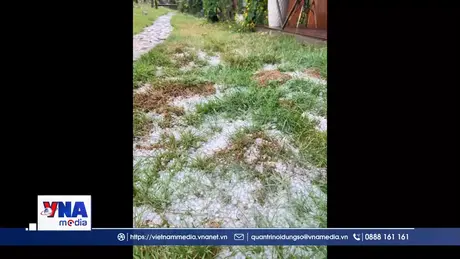 Quảng Ngãi cảnh báo thời tiết cực đoan do mưa trái mùa