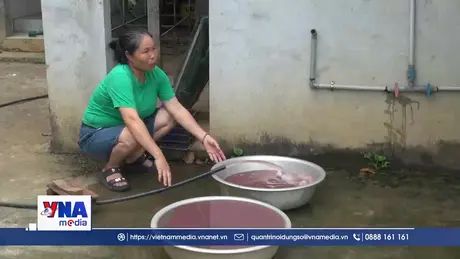 Thanh Hóa: Khẩn trương kiểm tra, xử lý tình trạng ô nhiễm nguồn nước