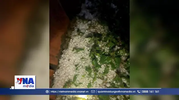 Mưa đá lớn khiến 4 người bị thương tại xã Bắc Hà, Lào Cai