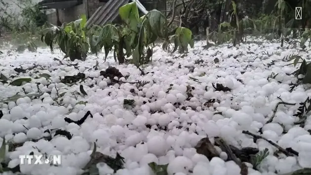Mưa đá khiến 4 người bị thương tại xã Bắc Hà, Lào Cai