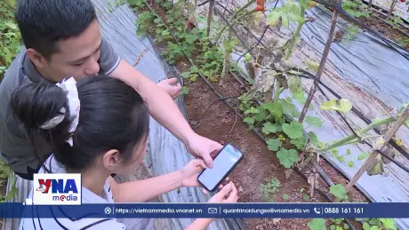 Đẩy mạnh ứng dụng công nghệ trong sản xuất nông nghiệp ở Sơn La