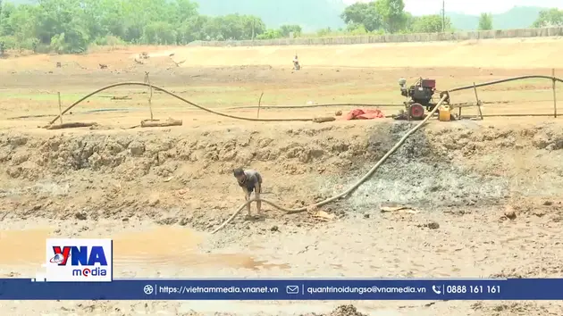 Nắng nóng kéo dài, nhiều diện tích cây trồng thiếu nước