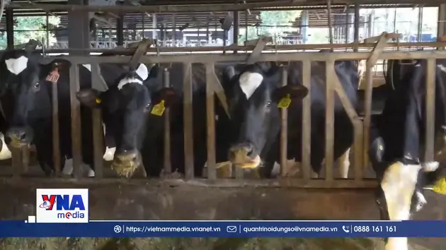 Nông nghiệp thông minh, chìa khóa để nông sản Việt vươn xa