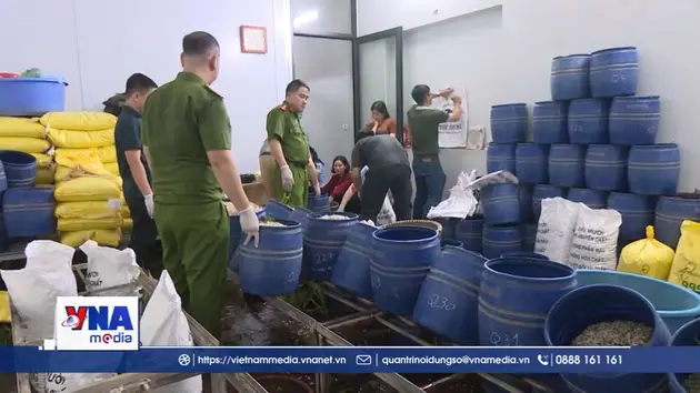 Quảng Ninh bắt tạm giam đối tượng sản xuất giá đỗ bằng chất cấm