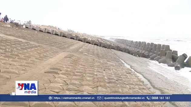 Ninh Bình gia cố các tuyến đê, kè biển