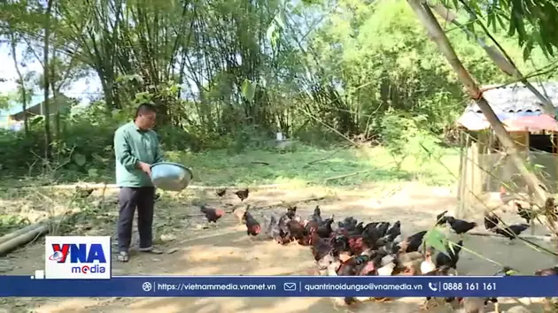 Mô hình kinh tế hiệu quả cho vùng dân tộc thiểu số