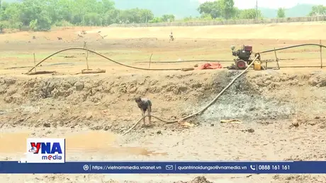 Nắng nóng kéo dài, nhiều diện tích cây trồng thiếu nước
