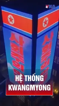 Hệ sinh thái số độc bản