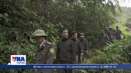 Làm tốt công tác bảo vệ rừng ở Nà Hẩu