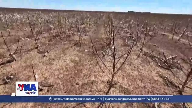 Mỹ ghi nhận hạn hán kỷ lục